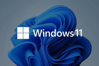 Windows 11