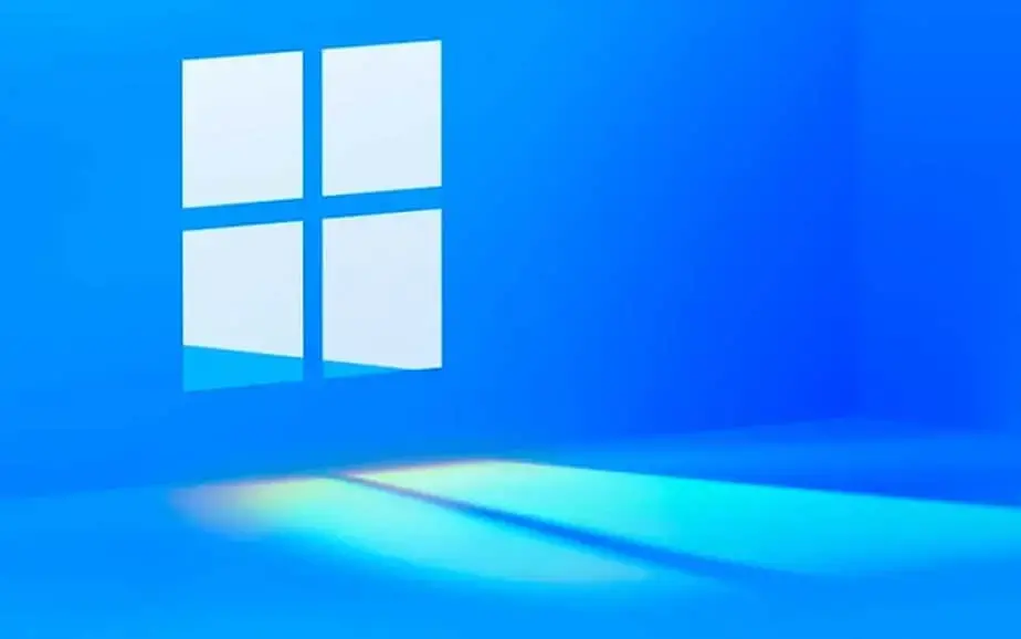 Windows 11