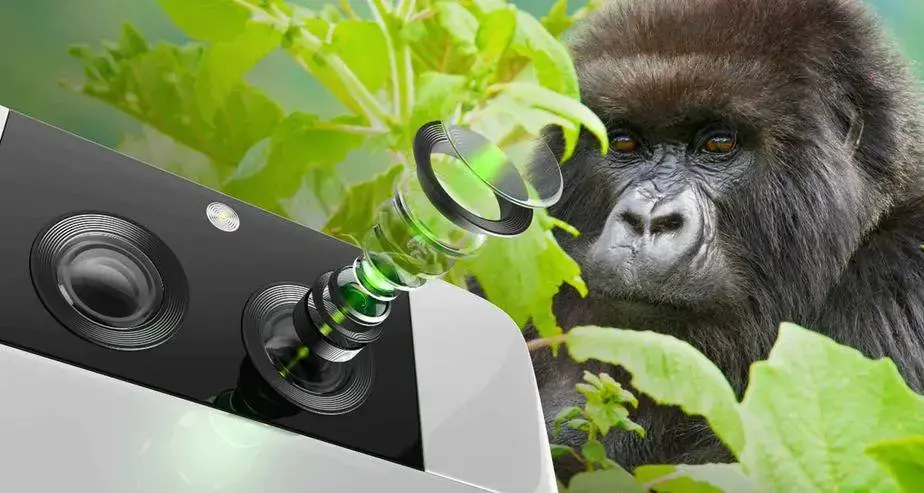 Corning Gorilla Glass DX jpeg webp