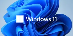 Windows 11