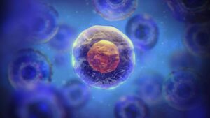 Bacterii modificate genetic pentru detectarea celulelor canceroase