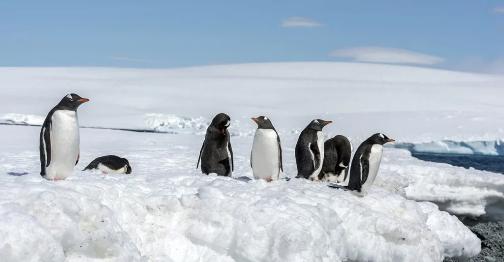 Antarctica Ascunde un Secret Uimitor